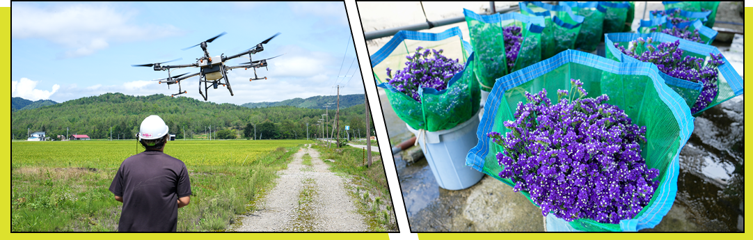 応募・お問い合わせ