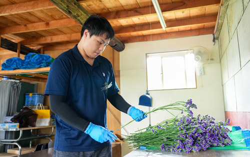 インターンシップ要項